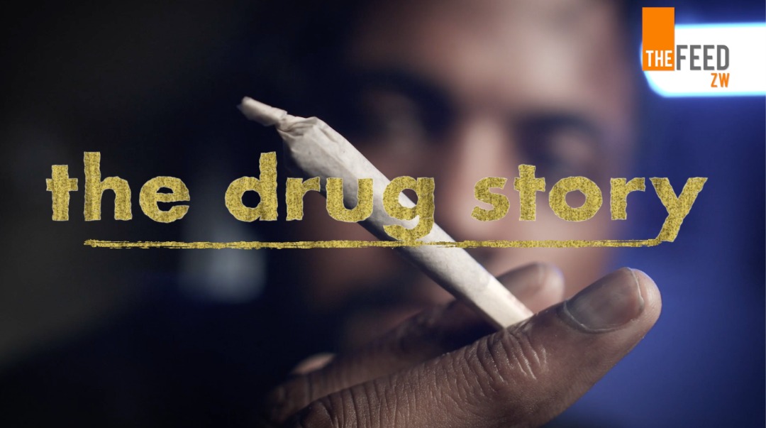 European Film Festival in Zimbabwe