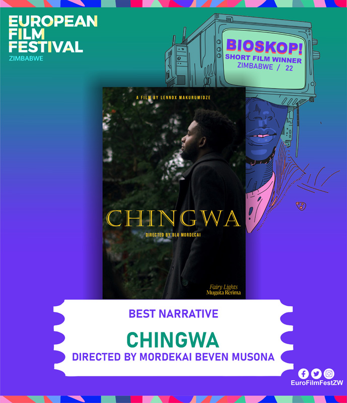 European Film Festival in Zimbabwe