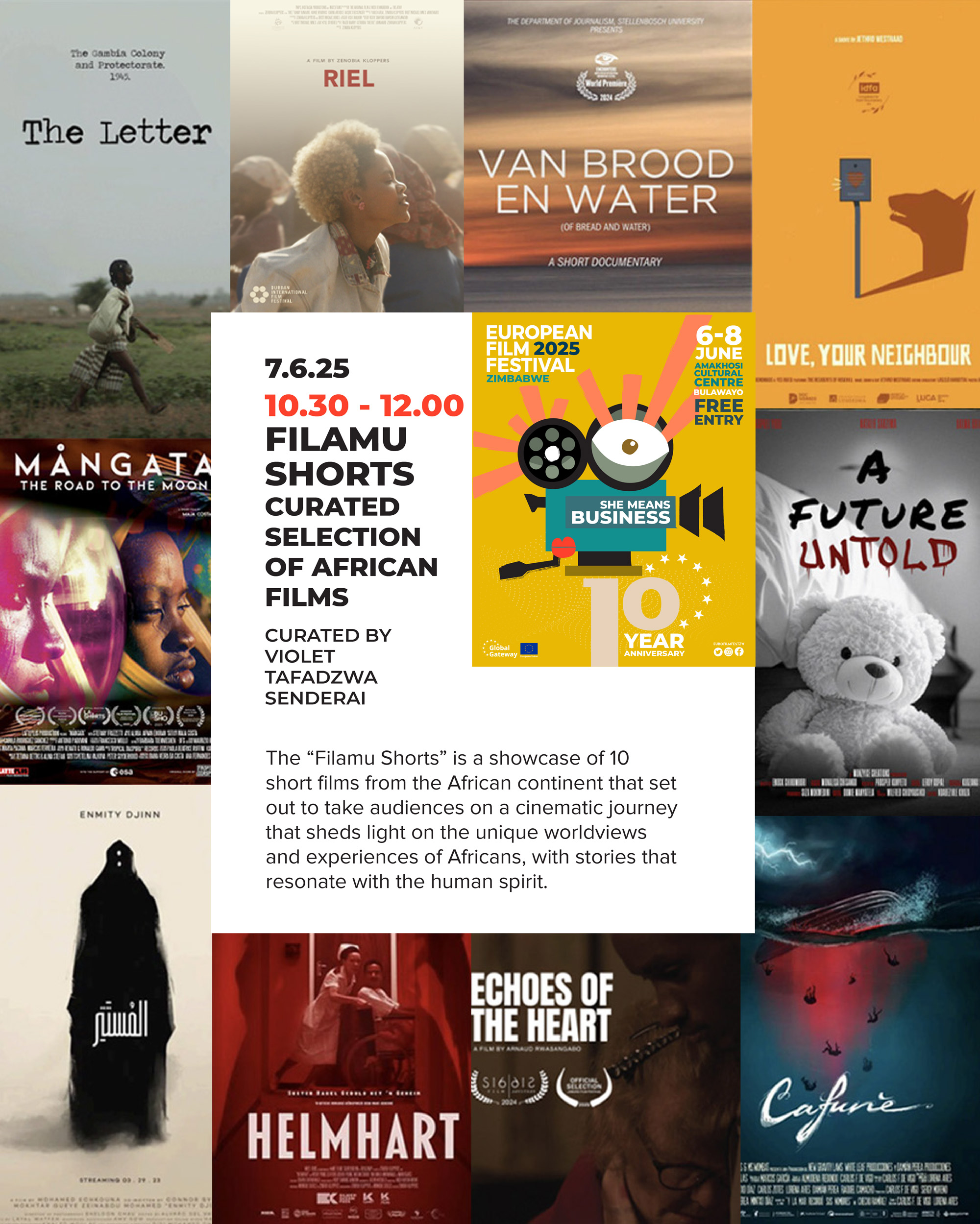 European Film Festival in Zimbabwe